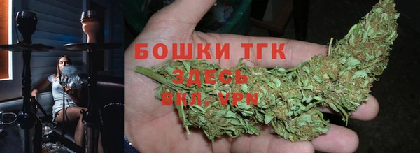 ПСИЛОЦИБИНОВЫЕ ГРИБЫ Няндома