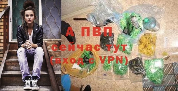 ПСИЛОЦИБИНОВЫЕ ГРИБЫ Няндома