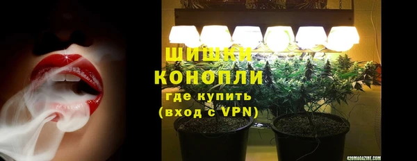 ПСИЛОЦИБИНОВЫЕ ГРИБЫ Няндома