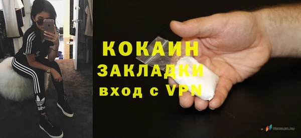 ПСИЛОЦИБИНОВЫЕ ГРИБЫ Няндома