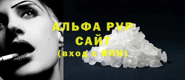 ПСИЛОЦИБИНОВЫЕ ГРИБЫ Няндома