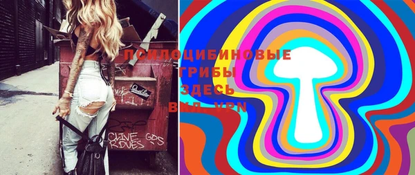 дживик Нязепетровск
