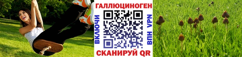 Галлюциногенные грибы мицелий  Сим 